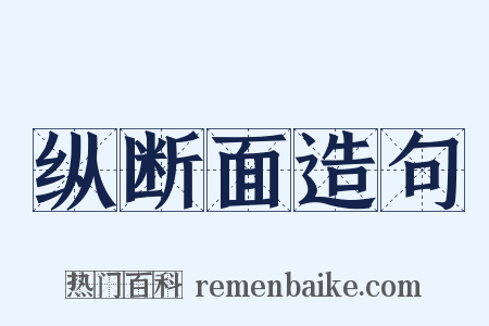 纵断面造句是什么意思的图片